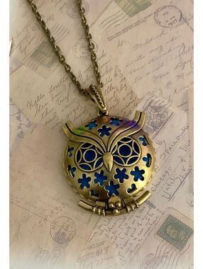 Antiqued Brass Owl Face Aromatherapy Diffuser Locket Necklace